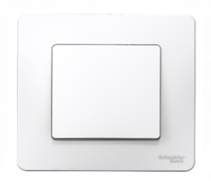 Выключатель Белый Скрытой установки 1 клав BLANCA Schneider (10)