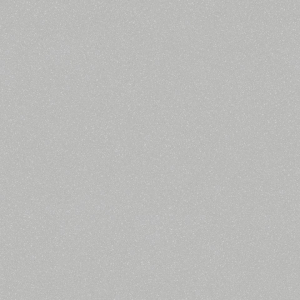 Линолеум коммерч. ACCZENT PRO Аспект-2 (Св.серый) 4,0м. (80)