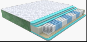 Снимок oliva 6