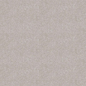 Линолеум MASTER PROXI 2 2,5 м (92,5)(КМ2)