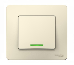 Выключатель Молочный Скрытой установки 1 клав с подсветкой  BLANCA Schneider (10)