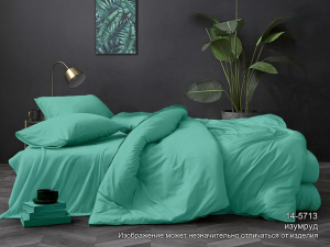 КПБ Поплин гл/кр "Luxor" диз. в ассортименте (2,0-сп. с европростыней) 