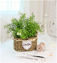 Композиция Трава с кашпо (корзина) 18*12*23  (24)