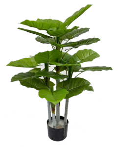 Безымянный