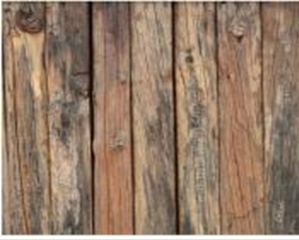 Безымянный