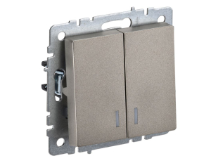 Шампань выключатель двухклавишный с индикацией 10А ВС10-2-1-БрШ