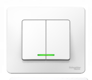 Выключатель Белый Скрытой установки 2-х клав С подсветкой  BLANCA Schneider (10)