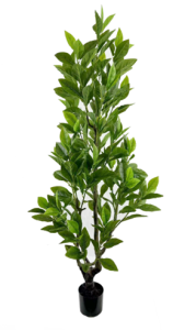 Безымянный