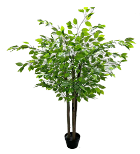 Безымянный