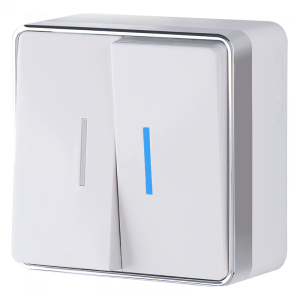 Выключатель Белый Открытой установки 2-х клав С подсветкой  Gallant W5020101 (10)