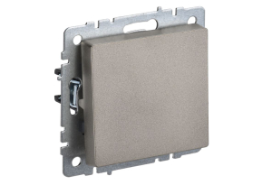 Шампань выключатель одноклавишный 10А ВС10-1-0-БрШ