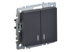 Графит выключатель двухклавишный с индикацией 10А ВС10-2-1-БрГ