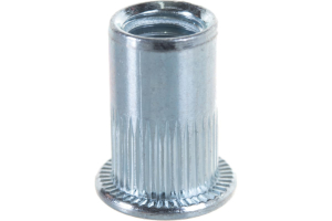 Заклепка с внутренней резьбой, цилиндрический бортик, м10х2х22 (200)